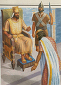 20 Salomo Seba 3 Buigt