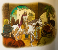 9 Salomo Koning 2