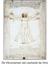 Leonardo da Vinci Vitruvian Man 1 tkst