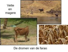 Dromen Farao 1