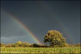 Regenboog 1