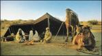 Tent 1